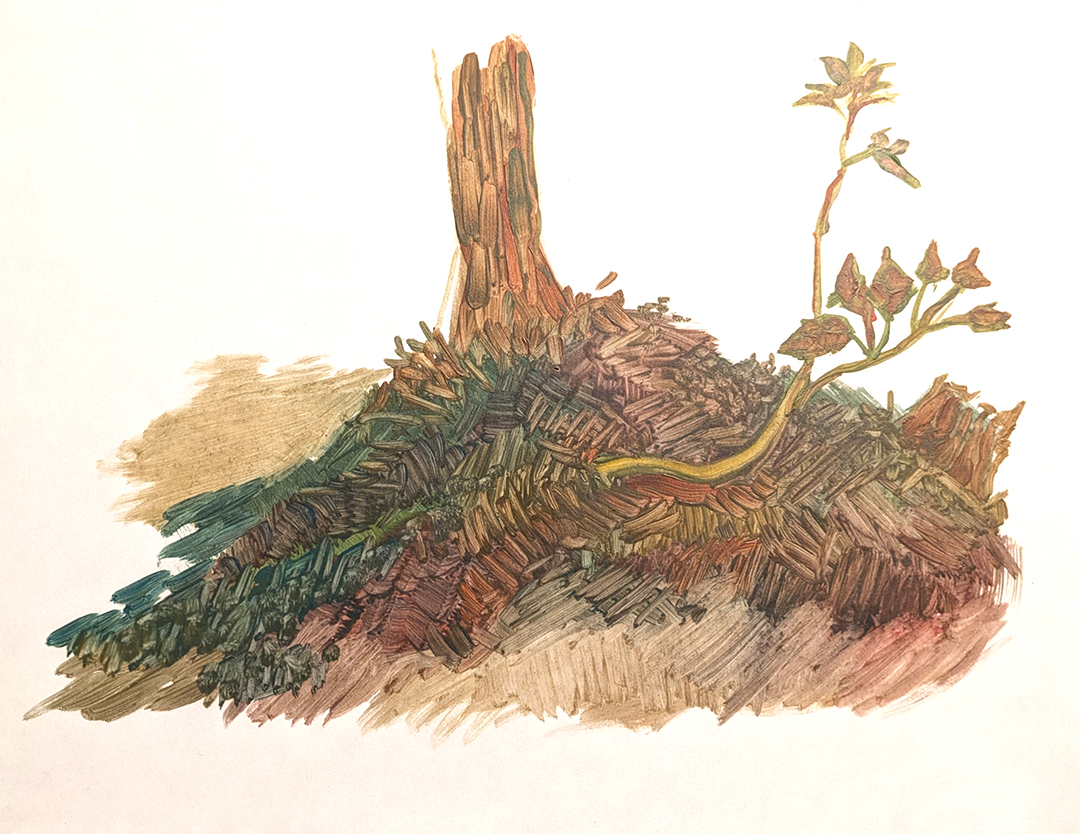 Young Trees