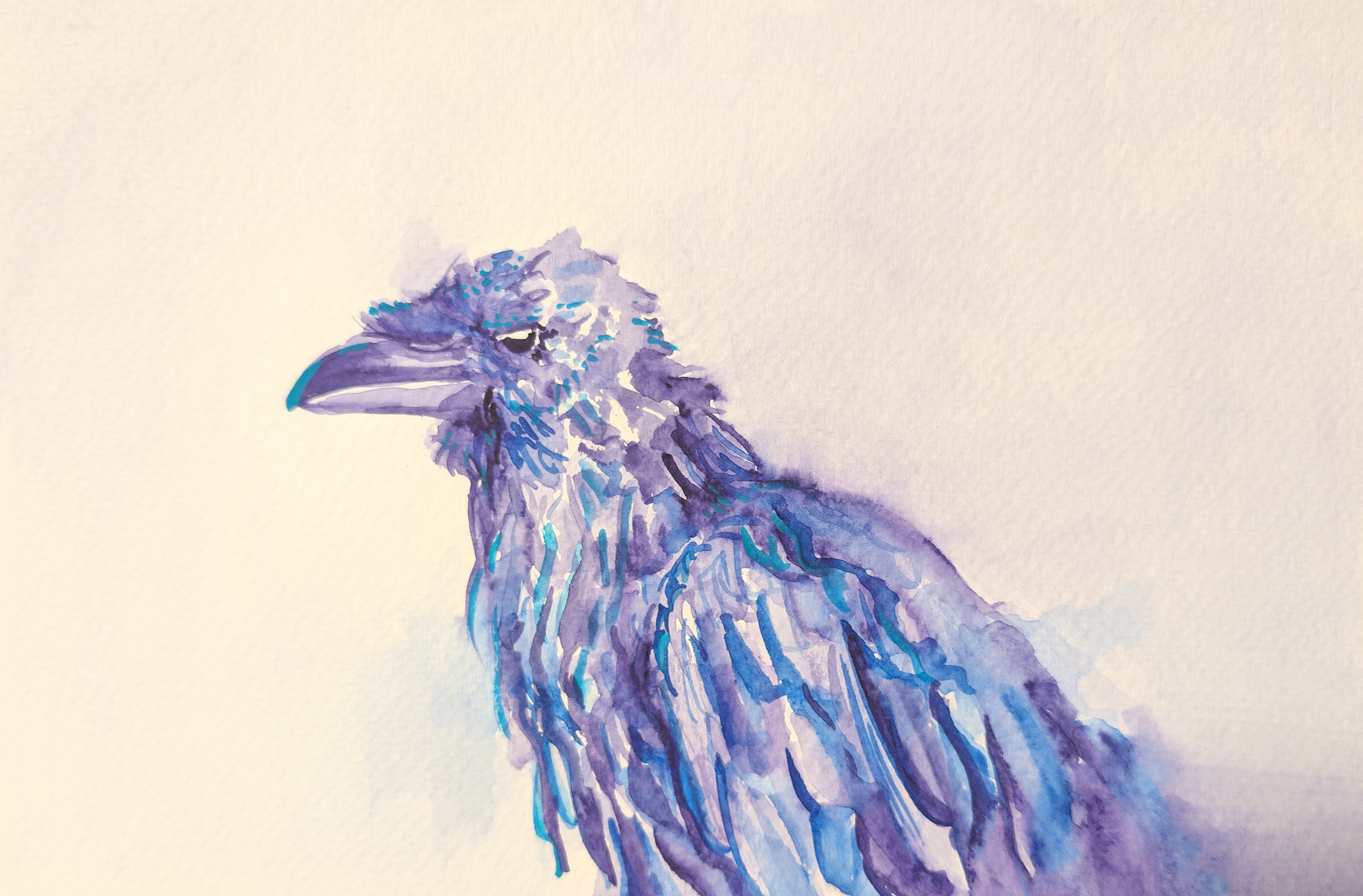 Old Raven II